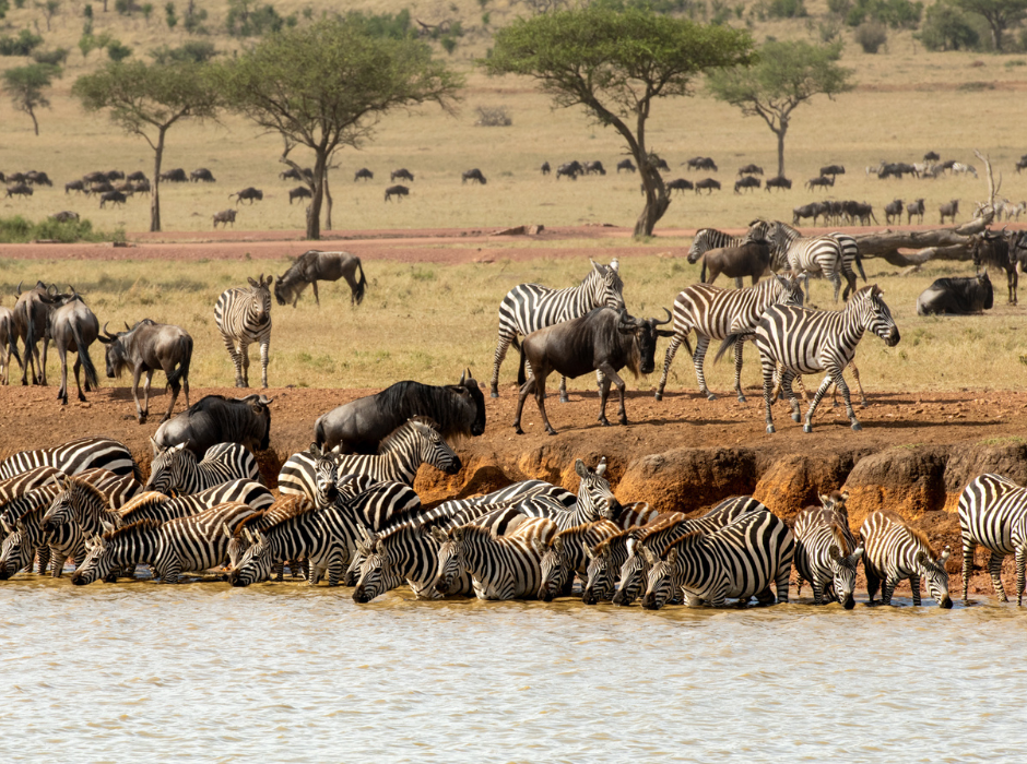 Luxury Tanzania Holiday