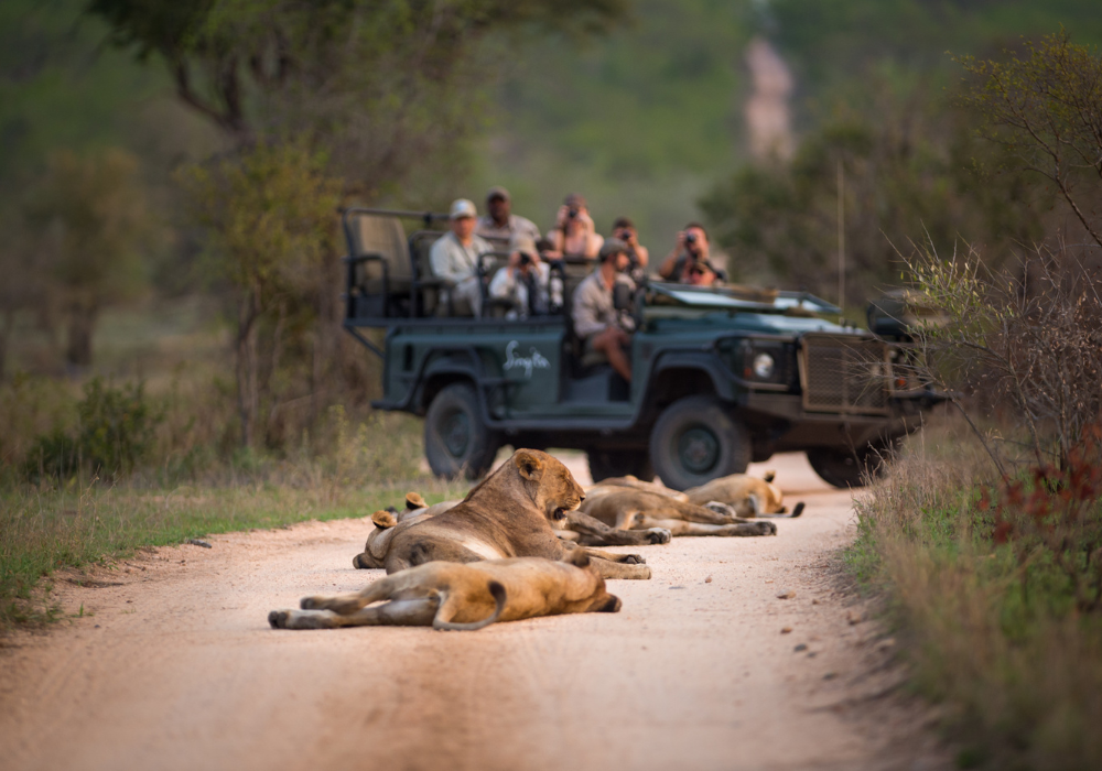 Luxury South Africa Travel