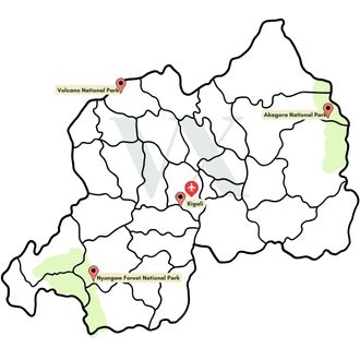 Encounter the Giants: Gorilla Trekking in Rwanda