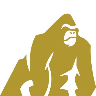 Gorilla Trekking in Rwanda / Uganda