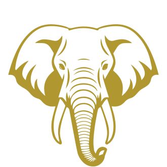 Wildlife Wonders: Animal Migration and Safari in Kenya